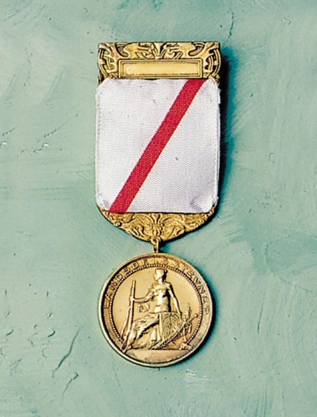 LDKS Medalje bane kl 3-5 Gylt
